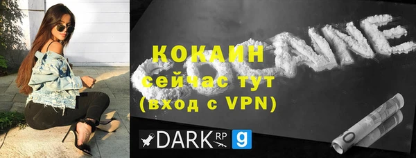 шишки Бородино