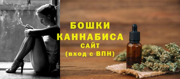 шишки Бородино