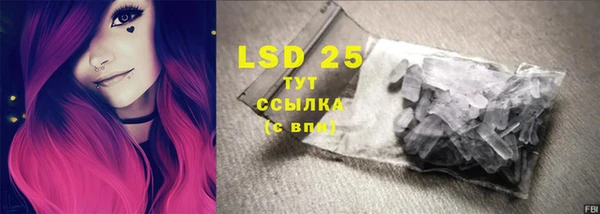 шишки Бородино