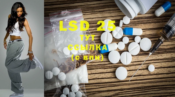 шишки Бородино