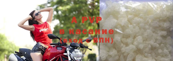 шишки Бородино