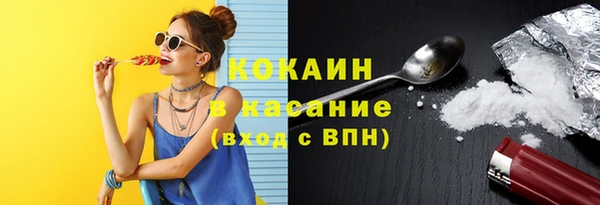 шишки Бородино
