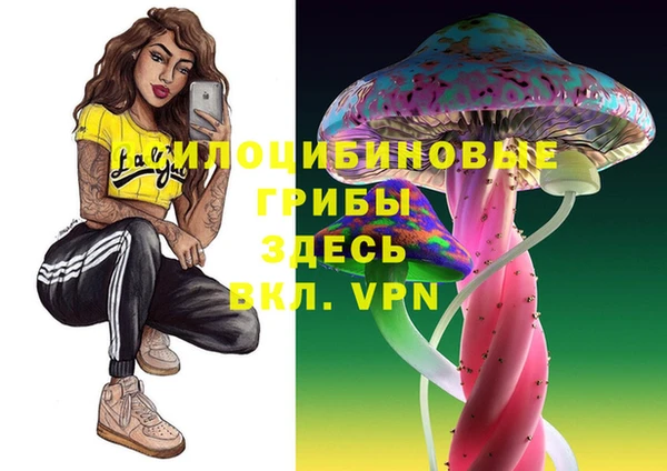 шишки Бородино