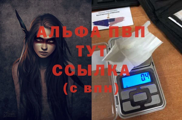 шишки Бородино