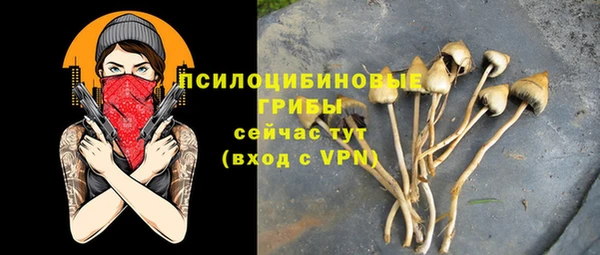 Альфа ПВП Бронницы