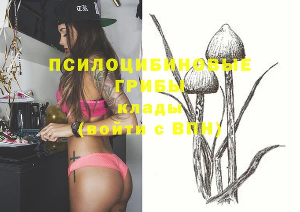 Альфа ПВП Бронницы