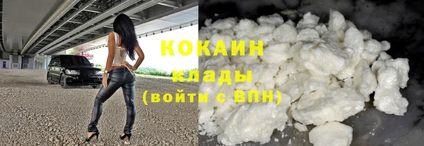 шишки Бородино