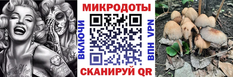 купить сайты Александровское Псилоцибиновые грибы GOLDEN TEACHER